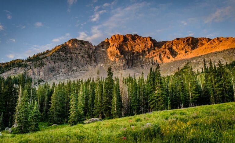 A Secretaria do Tesouro Nacional prevê que a