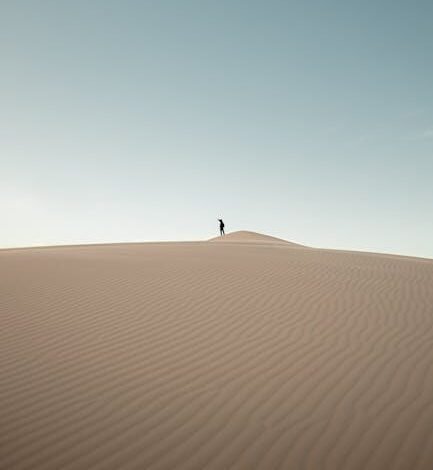 A Caixa Econômica Federal inicia nesta sexta-feira (14)