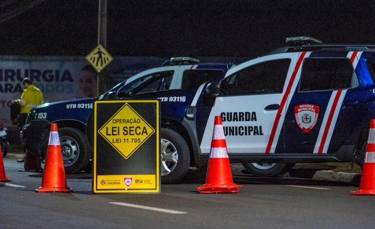 Onze azeites brasileiros estão entre os 100 mais