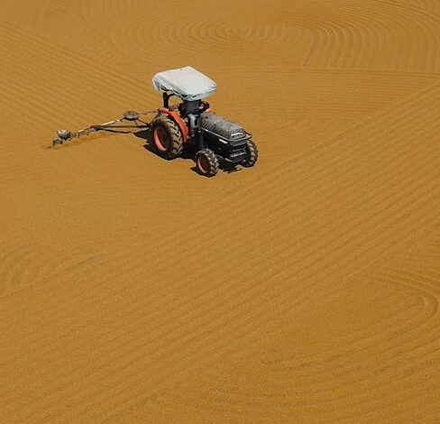 Mais de 600 animais morreram após a aplicação