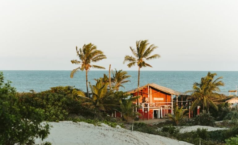 O Espírito Santo iniciou a colheita de novas