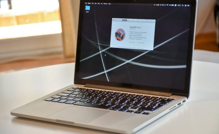 O Instituto Brasileiro de Geografia e Estatística (IBGE)