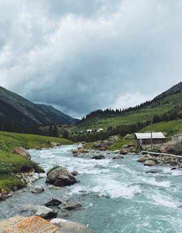 A organização do Rock in Rio divulgou nesta terça-feira (18)