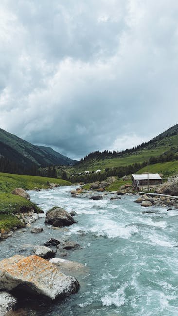 A organização do Rock in Rio divulgou nesta terça-feira (18)