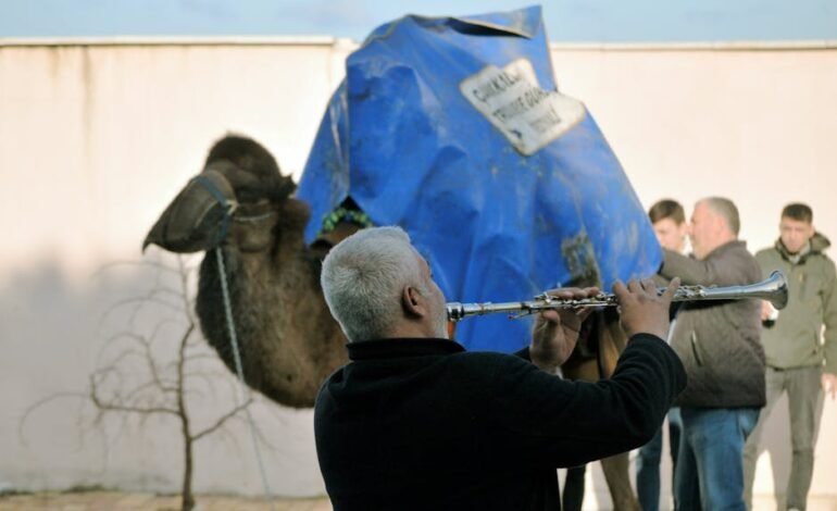 O deputado federal Augusto Coutinho (Republicanos-PE) deve a