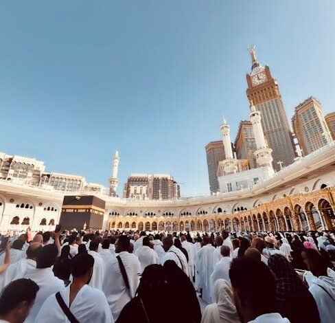 Mrbeast inaugura parque temático beast land na arábia saudit