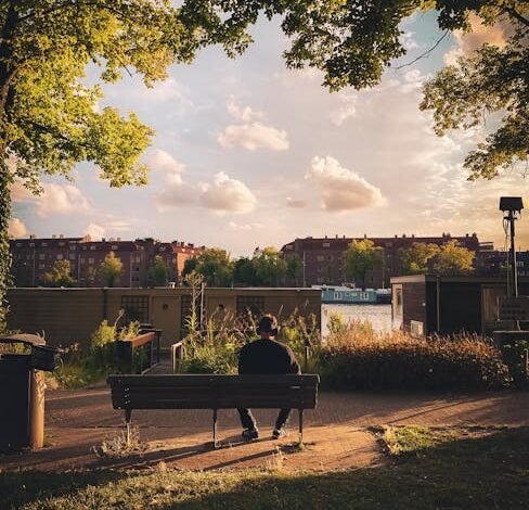 A Fictor Holding Financeira anunciou nesta segunda-feira (17