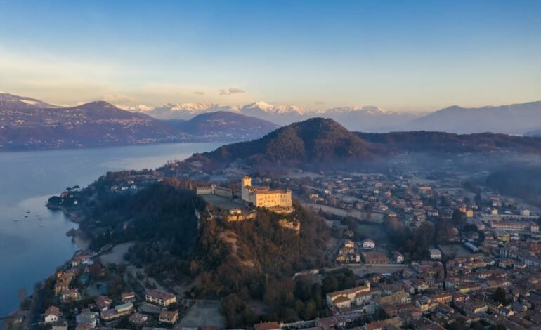 A pitomba, fruta típica do Nordeste brasileiro, pode
