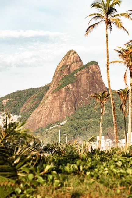 As gêmeas alemãs Alice e Ellen Kessler, ícones do entretenim