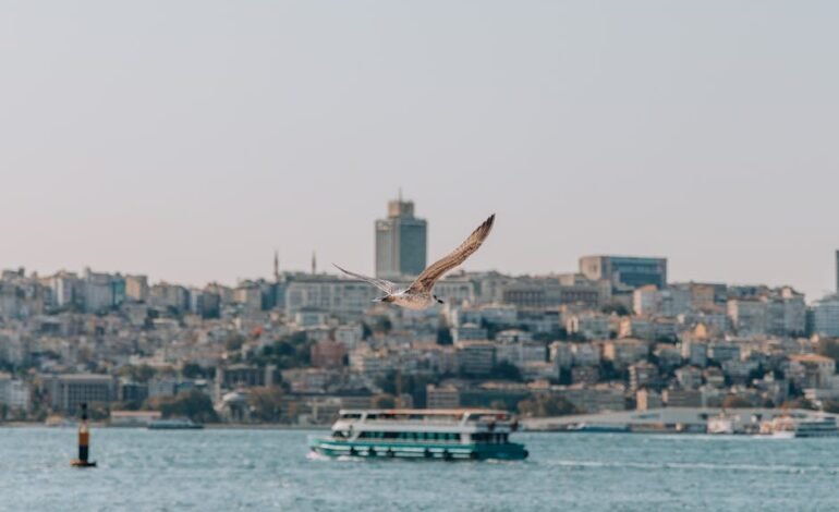O músico Jards Macalé morreu nesta segunda-feira (17)