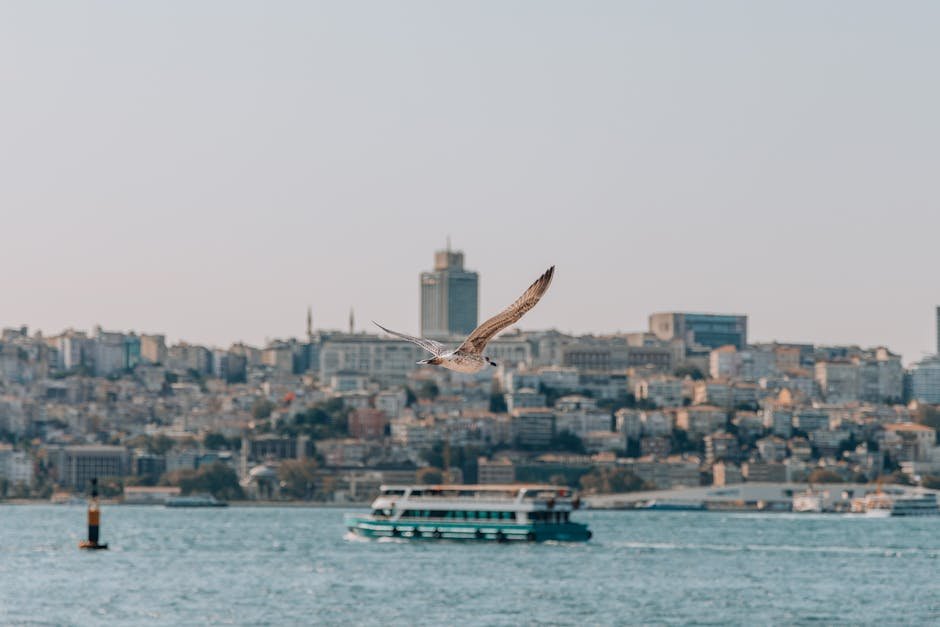 O músico Jards Macalé morreu nesta segunda-feira (17)
