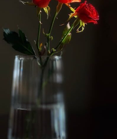 O Banco Central decretou nesta terça-feira (18) a