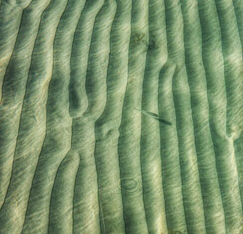 Vyacheslav Penchukov, o ‘Tank’, deixou milhares de vítimas