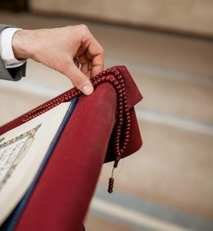 Estrelas da música como Dua Lipa e a banda Coldplay