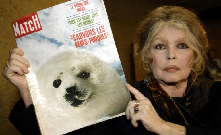 A atriz francesa Brigitte Bardot, ícone mundial do