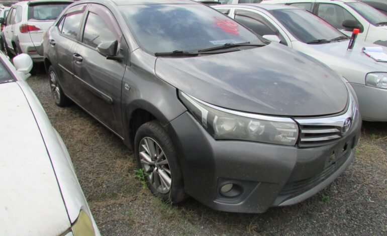 O Governo do Estado de São Paulo promove leilão virtual