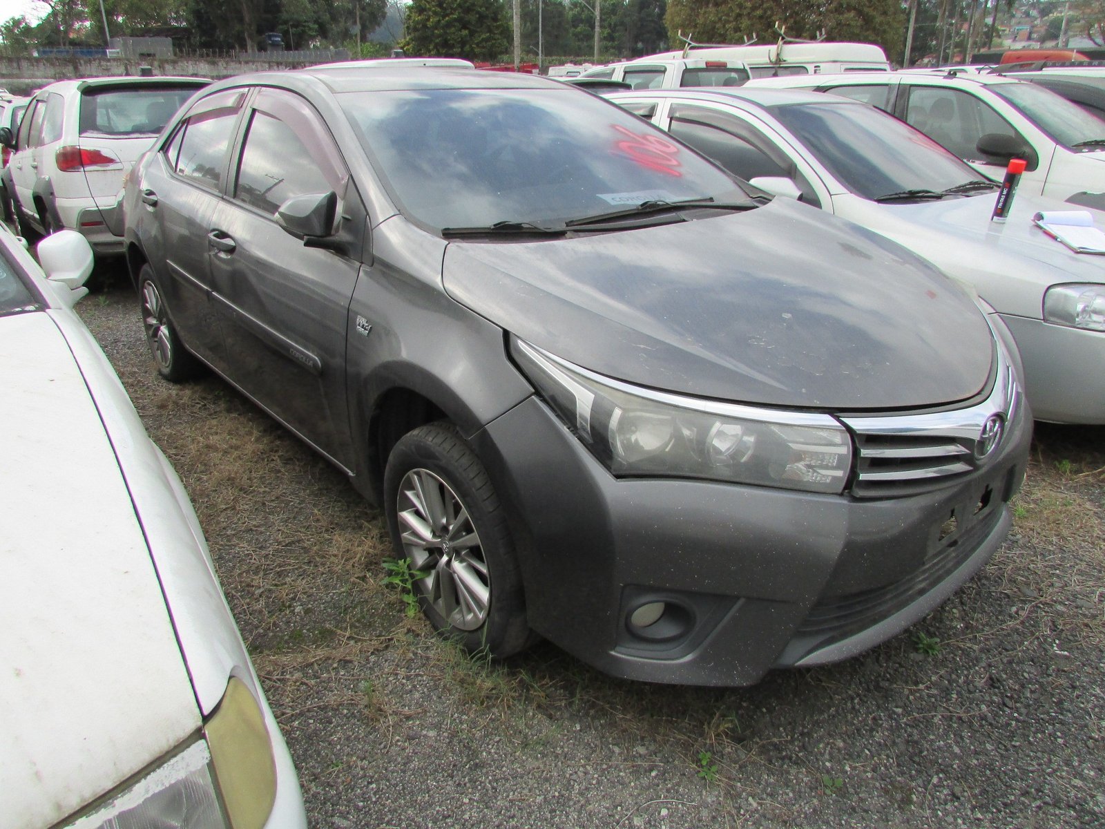 O Governo do Estado de São Paulo promove leilão virtual