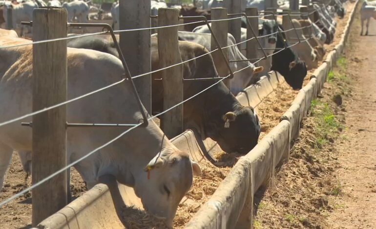 Raios causaram prejuízos em propriedades rurais de Caiabu