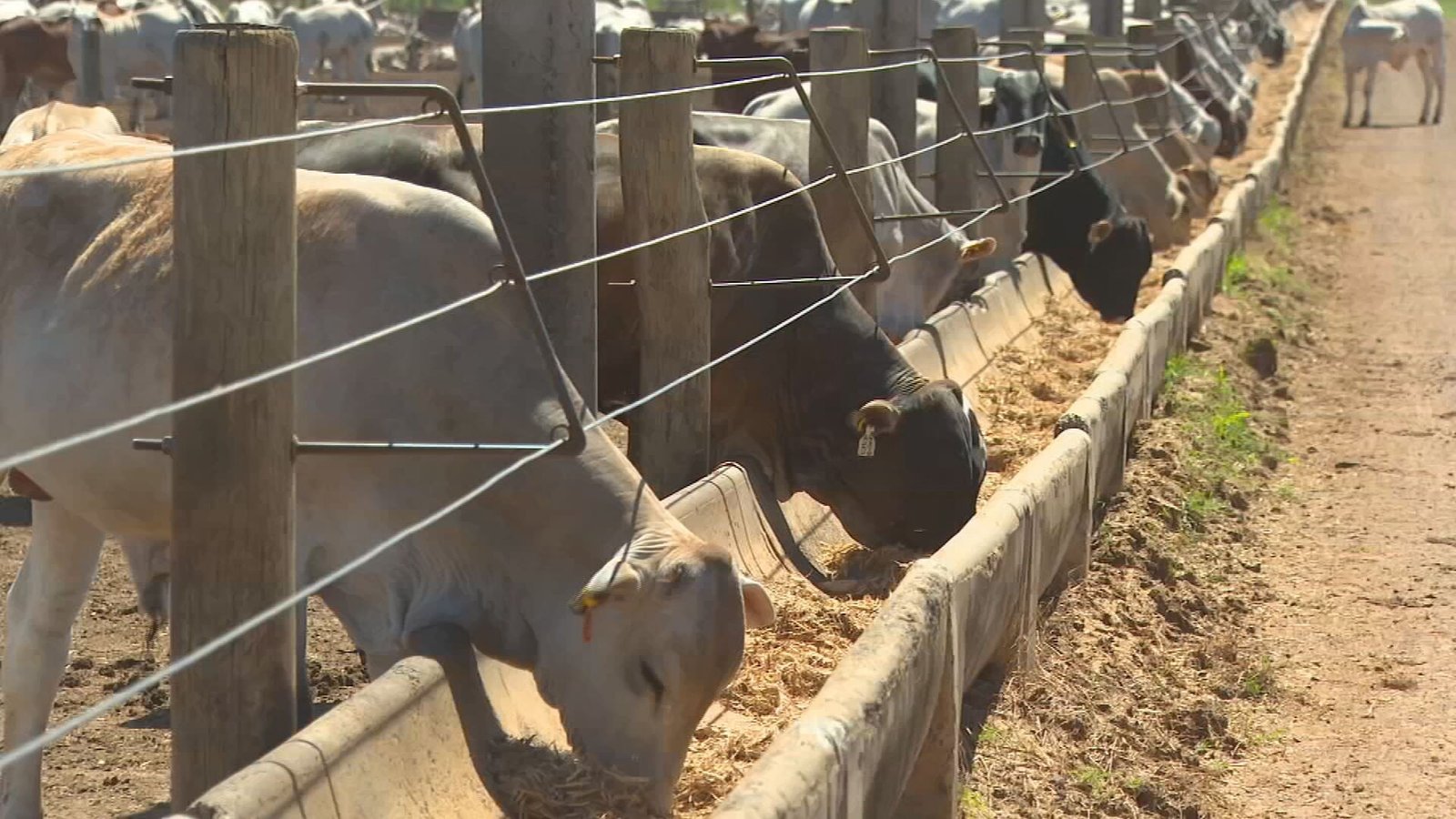 Raios causaram prejuízos em propriedades rurais de Caiabu