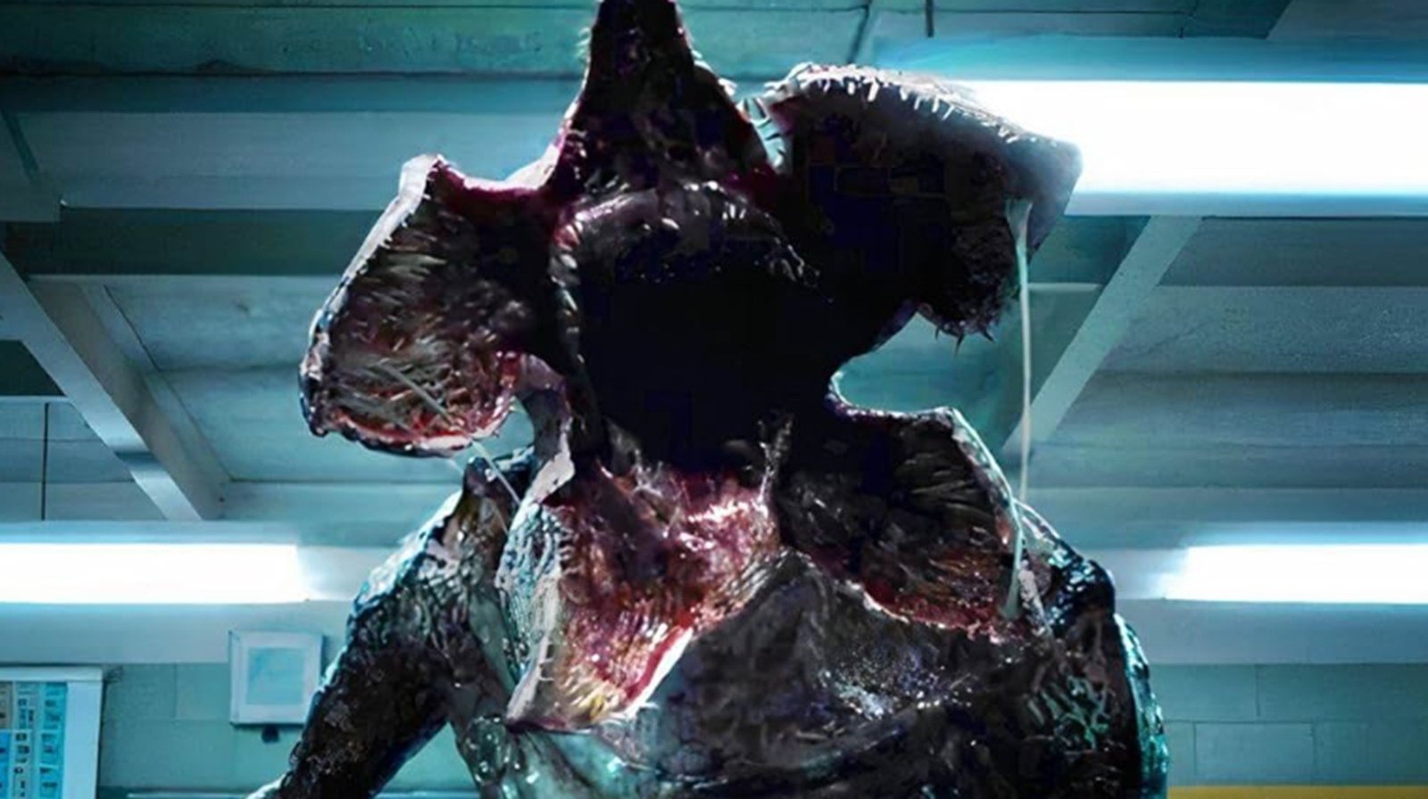 Circula nas redes sociais um vídeo que mostra