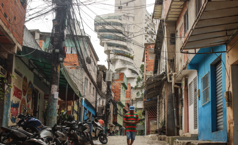 O Instituto Brasileiro de Geografia e Estatística (IBGE)