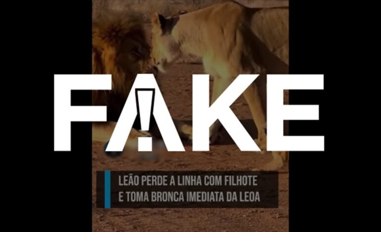 Um vídeo que mostra uma leoa agredindo um leão após