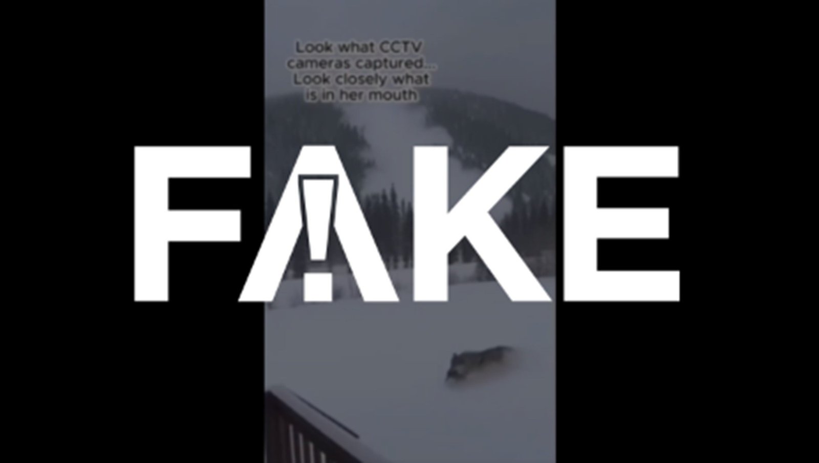 Circula nas redes sociais um vídeo que mostra