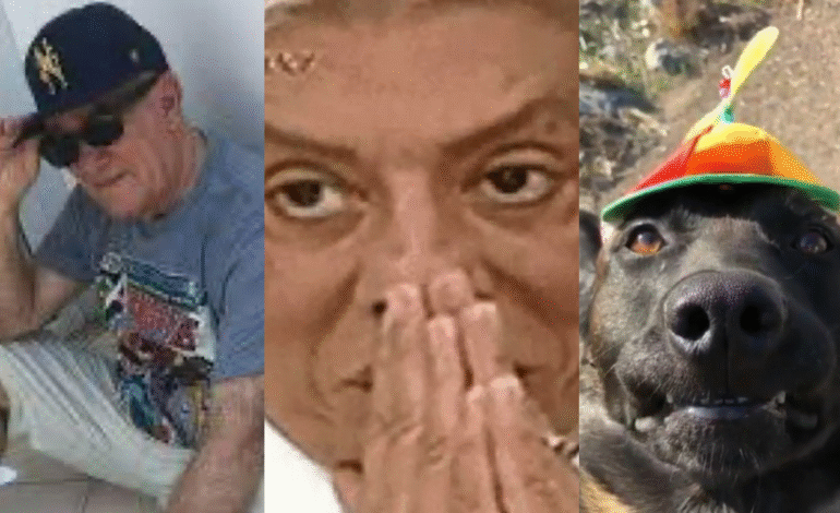 O Spotify lançou nesta quarta-feira (3) a edição 2025 do