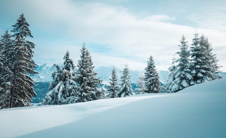 O meme da Guiana Brasileira foi o mais buscado no