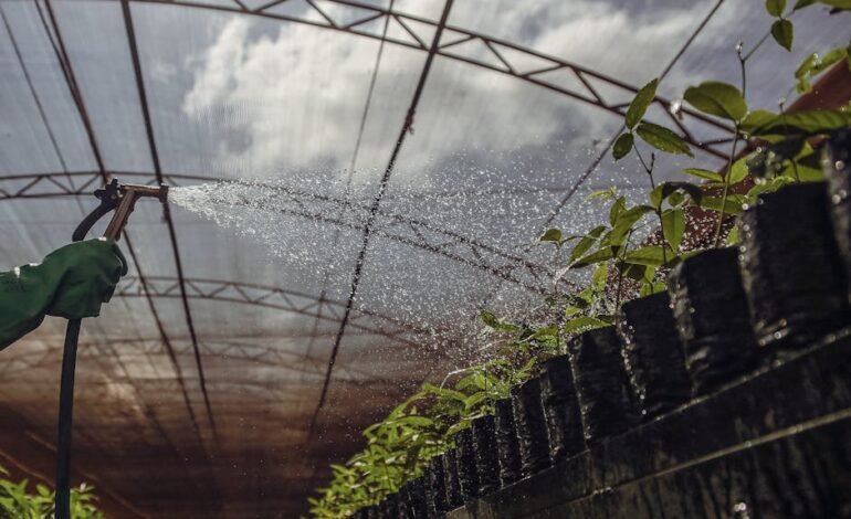 Chuvas intensas e períodos de seca prolongada prejudicaram
