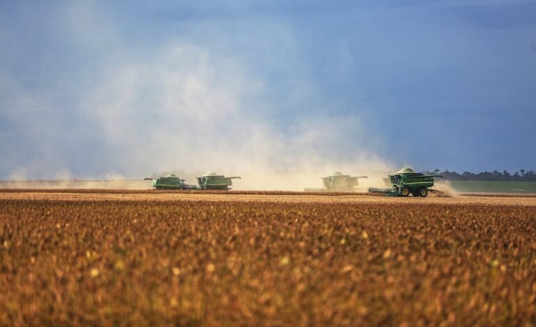 O Ministério da Fazenda lançou uma ferramenta online