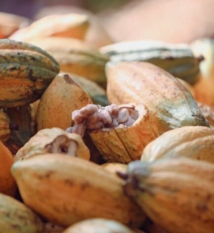 A Secretaria de Política Econômica (SPE) do Ministério