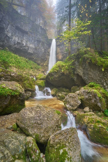 O presidente das Cooperativas U, quarta maior rede