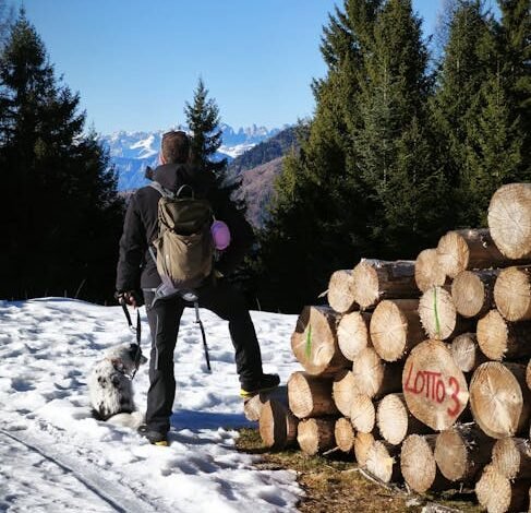 A primeira-ministra da Itália, Giorgia Meloni, afirmou nesta