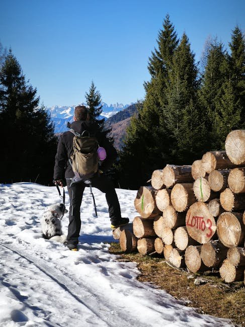 A primeira-ministra da Itália, Giorgia Meloni, afirmou nesta