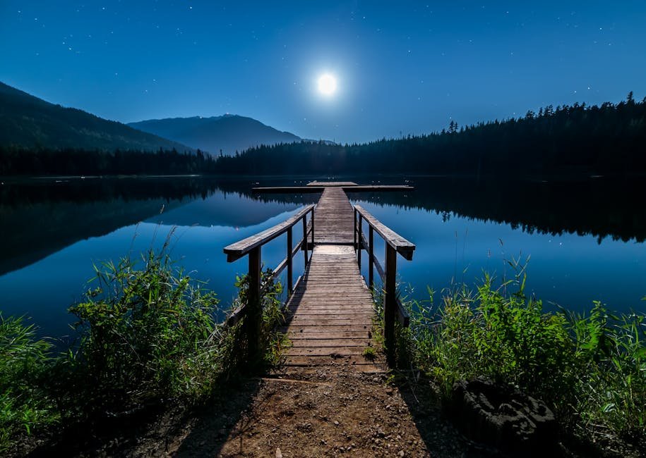 Os diretores de Organização do Sistema Financeiro, Renato