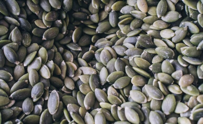 As empresas Petrobras e Shell arremataram áreas no