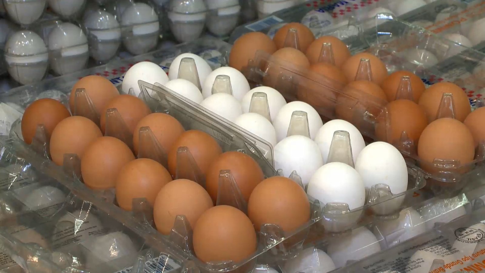 Os Estados Unidos mantêm a sobretaxa de 50% sobre as