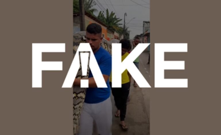 Circula nas redes sociais um vídeo de quatro