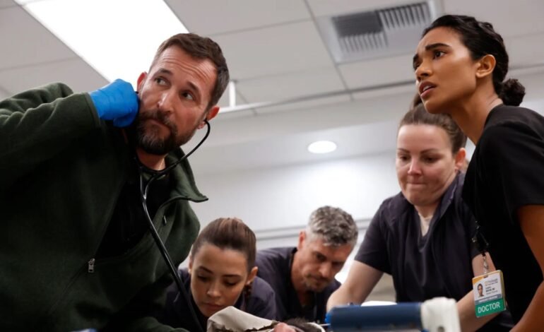 O ano de 2025 foi marcado por uma produção predominante