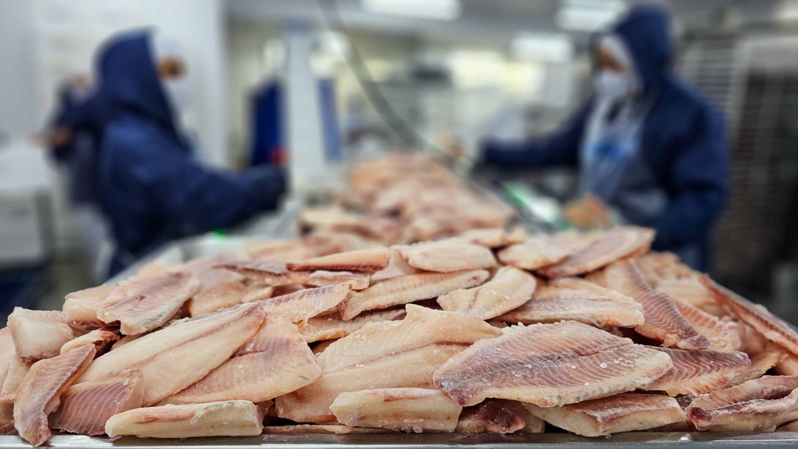 Quase metade das exportações do agronegócio brasileiro para
