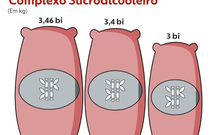 Comissão Europeia aprova acordo com Mercosul Os países