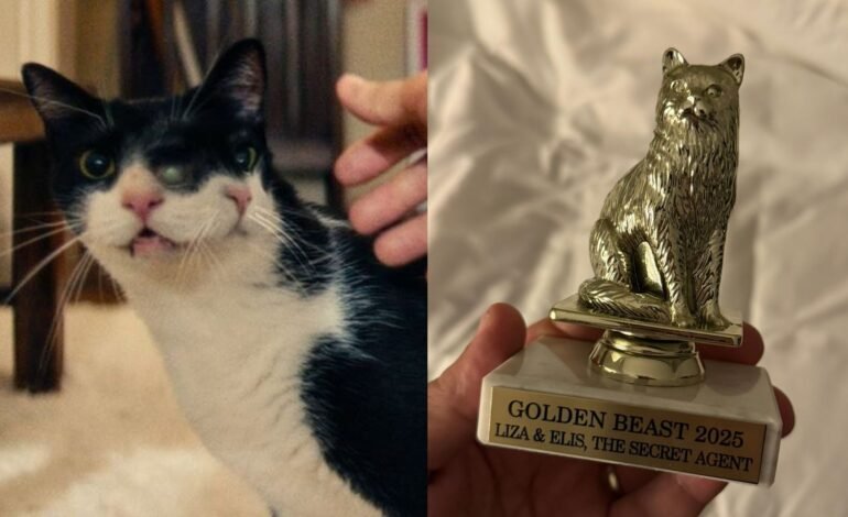 O filme brasileiro “O Agente Secreto” recebeu o prêmio “Gold