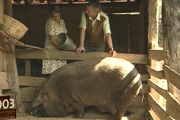 No último domingo (11), o programa “Baú do Globo Rural”