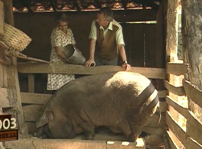 No último domingo (11), o programa “Baú do Globo Rural”