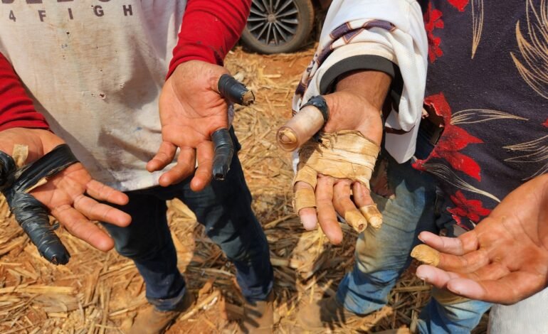 O Brasil registrou o maior número de denúncias