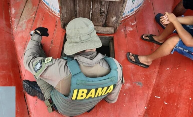 O Instituto Brasileiro do Meio Ambiente e dos