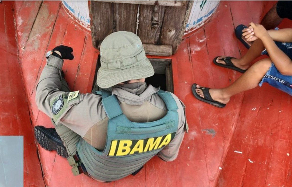 O Instituto Brasileiro do Meio Ambiente e dos