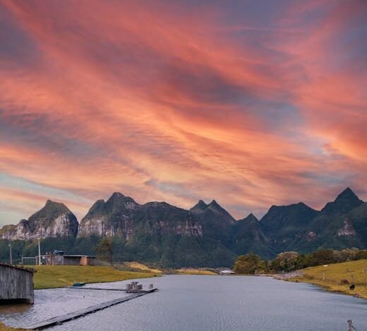 A Associação Brasileira das Indústrias de Óleos Vegetais