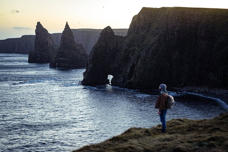 O neurocientista Fernando Gomes explicou em entrevista ao